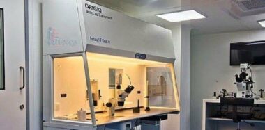 Procréation médicalement assistée: la nouvelle loi vivement critiquée