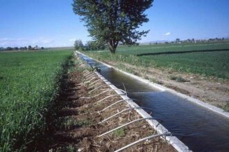 Spécial SIAM 2019. Production, emplois et revenus agricoles en hausse