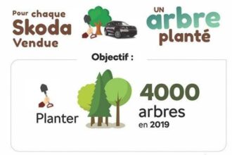 Škoda Maroc lance une opération environnementale avec le ministère de l'Agriculture