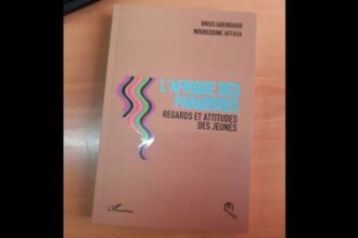 Parution. &ldquo;L'Afrique des paradoxes&rdquo; de Driss Guerraoui et Noureddine Affaya