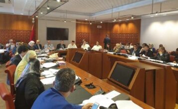 Le parlement introduit le tifinagh dans la loi organique sur l'amazigh