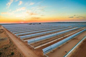 Silk Road Fund acquiert 49% d’Acwa Power RenewCo