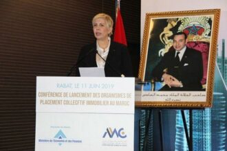 OPCI: un fort engouement chez les particuliers et les institutionnels