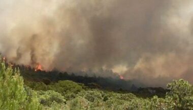 Tétouan: 40 hectares ravagés par un incendie dans la forêt d'Aïn Lahcen