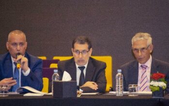 Rencontre nationale sur la TPE: les recommandations des professionnels