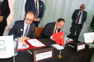 Un registre national des maladies rares dès 2020