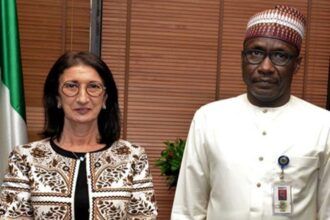 Le projet de Gazoduc Nigeria-Maroc officiellement présenté à Abuja