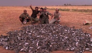 Chasse illégale à Marrakech : la société de chasse poursuivie en justice