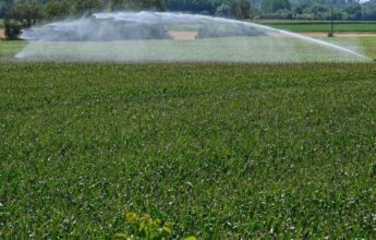 Climat: Selon le Giec, l'humanité épuise les terres