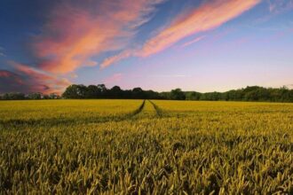 Partenariat OCP-Bioline pour l'Agtech