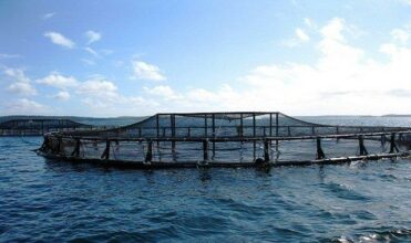 L'aquaculture marine sera dotée d'un cadre légal spécifique