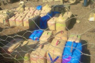 2 tonnes de chira saisies à Assilah