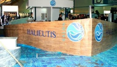 Halieutis: multiples lacunes malgré un apport certain au secteur