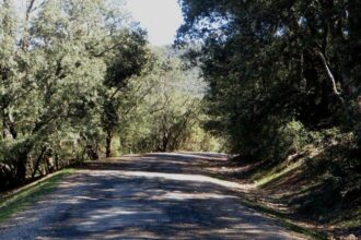 Fès-Meknès: plus de 660 MDH pour l'aménagement des routes et pistes rurales
