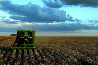 Campagne agricole: excès d'optimisme suite aux dernières pluies?