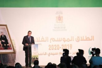 Lancement à Sidi Kacem de la campagne agricole 2019-2020