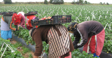 Situation des femmes rurales marocaines: le diagnostic du HCP