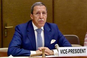 Omar Hilale réélu vice-président du Conseil économique et social de l'ONU