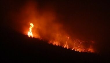 Plus de 200 incendies de forêt enregistrés en 2019 au Maroc