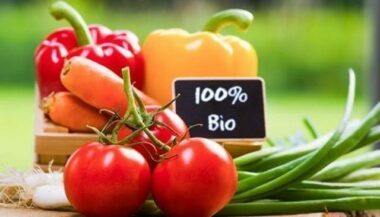 La superficie consacrée à l'agriculture bio au Maroc a atteint 11.000 HA
