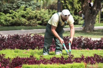 La commune de Casablanca lance un projet d’aménagement d’espaces verts pour 34 MDH