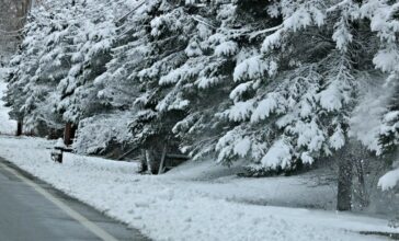 Alerte météo: Chutes de neige et rafales de vent attendues lundi et mardi