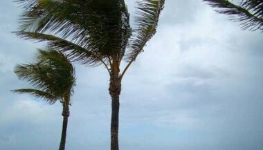 Alerte aux rafales de vent de niveau orange vendredi et samedi