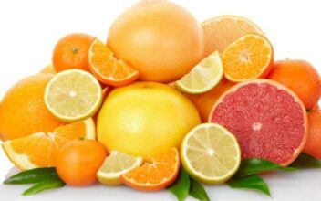 Agrumes: la production mondiale devrait baisser durant la saison 2019/2020