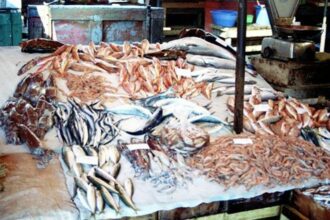 Inauguration du nouveau marché de gros au poisson de Tétouan