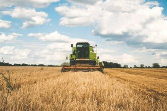 Agriculture: déficit pluviométrique important à fin 2019