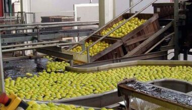 Digitalisation du contrôle des produits exportés: lancement de Easy Food Export