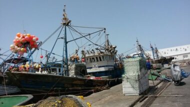 L'actuel port îlot de Dakhla sera reconverti en port de plaisance