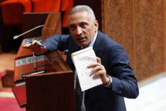 Verbatim. ALE Maroc-Turquie: Ankara a accepté de réviser (MHE)