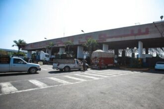 Les marchés de gros de fruits et légumes rapportent plus de 350 MDH annuellement