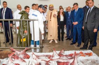 Agadir: Le Roi inaugure un point de débarquement aménagé des produits de la mer