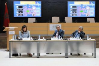 Rapport. Le CESE pointe les inégalités territoriales