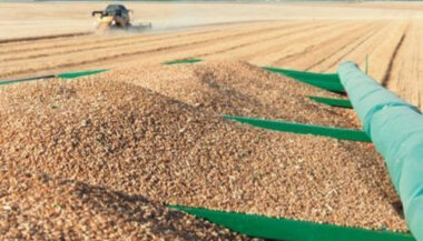 Le Maroc prolonge la suspension des droits de douane sur le blé tendre