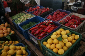 Tanger: les prix des fruits et légumes au marché de gros publiés quotidiennement