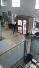 Braquage avorté d'une agence BMCE à Tanger (2/3)