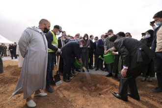 Provinces d’Agadir et de Tiznit : De nouveaux projets de développement agricole et rural