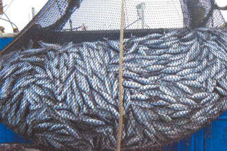 Le nouvel accord de pêche Maroc-Russie adopté en commission