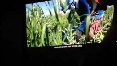 Ouverture des Assises de l'Agriculture à Meknes.