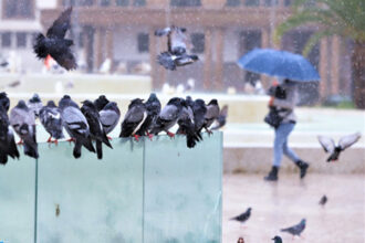 La pluie de retour au Maroc dès le mardi 4 avril