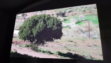 Live: SIAM 2018: L'importance de l'accompagnement non financier des petites exploitations et coopératives agricoles. En partenariat avec le Groupe Holmarcom