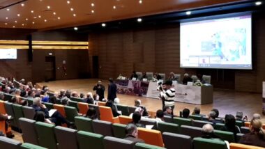 La suite..En direct. Bachelor : séminaire d'échanges avec les opérateurs de l'enseignement supérieur privé