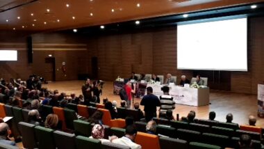En direct. Bachelor : séminaire d'échanges avec les opérateurs de l'enseignement supérieur privé