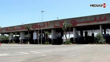 Reportage au marché de gros de fruits et légumes de Casablanca