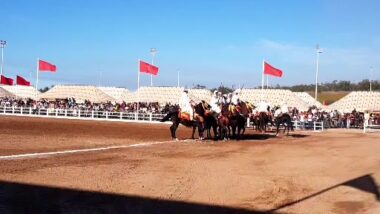 La suite. En direct: SALON DU CHEVAL D'EL JADIDA, DOUZIÈME ÉDITION, Grand prix de sa majesté le roi mohammed VI de Tbourida
