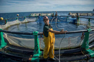 Un projet de 2,5 M$  pour renforcer le secteur de l’aquaculture au Maroc