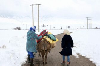 Vague de froid : 31 provinces visées par l’opération &ldquo;Riaya 2024-2025&rdquo;